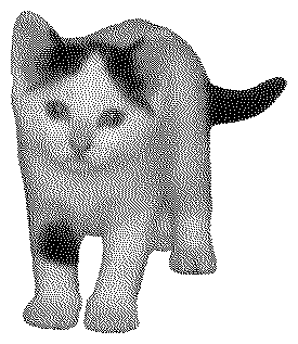 Dithered sticker of Io, my cat